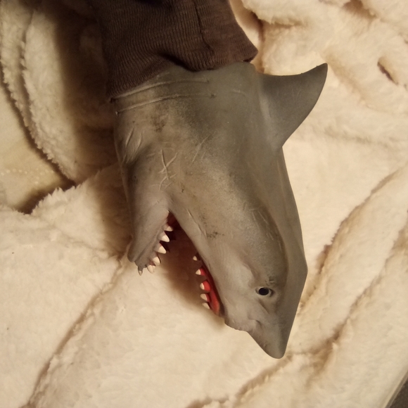 Meet your Posher, Megan - Picture 7 of 10